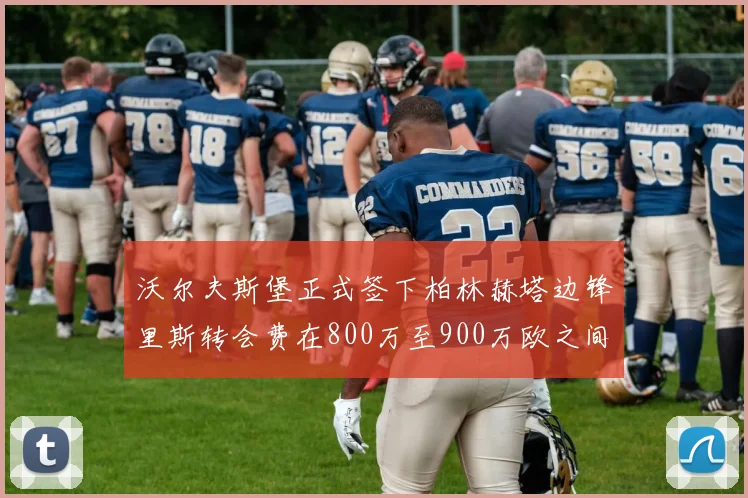 沃尔夫斯堡正式签下柏林赫塔边锋里斯转会费在800万至900万欧之间